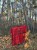 IMG_2833.jpeg