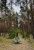 IMG_6942.jpeg