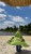 IMG_8510.jpeg